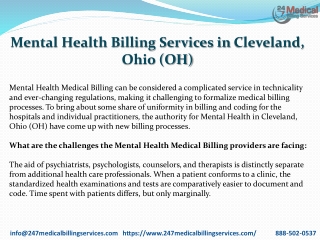 Mental Health Billing Services in Cleveland, OhioPDF