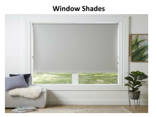 Window Shades