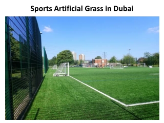 Sports Artificial Grass in Dubai