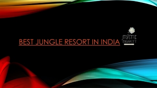 Best Jungle Resort In India | Mystic Mayapott