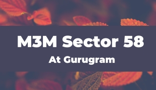 M3M Sector 58 At Gurugram - Download Brochure