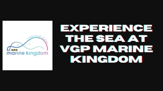 Experience the sea at VGP Marine Kingdom