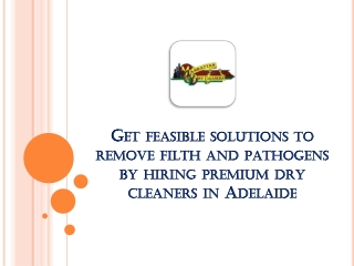 Get feasible solutions to remove filth and pathogens by hiring premium dry clean