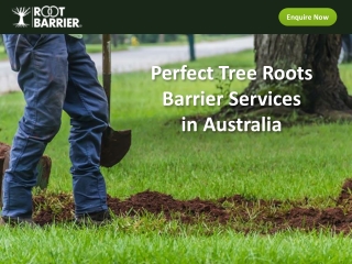 Perfect Tree Roots Barrier Services in Australia