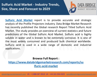 Sulfuric Acid Market