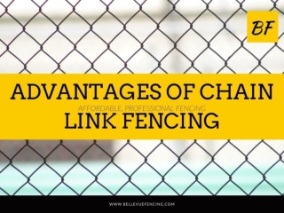 Advantages of Chain Link Fencing