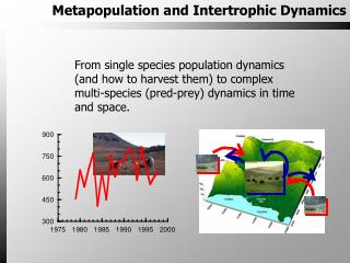 Metapopulation and Intertrophic Dynamics