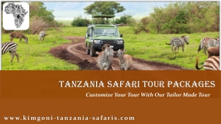 Tanzania Safari Tour Packages