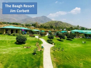 The Baagh Resort Jim Corbett | Resorts in Jim Corbett