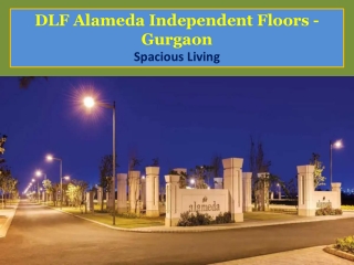 DLF Alameda Independent Floors - Gurgaon