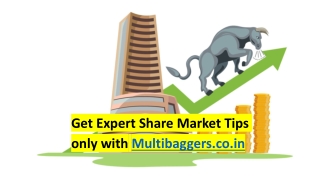 Get Expert Share Market Tips only with Multibaggers.co.in