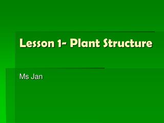 Lesson 1- Plant Structure