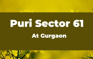 Puri Sector 61 At Gurgaon - Download PDF