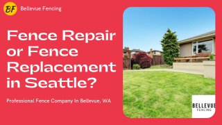 Fence Repair or Fence Replacement in Seattle?