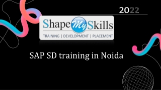 SAP SD Training in delhi