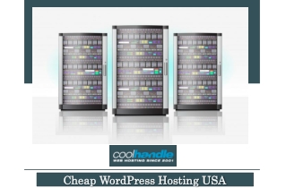 Cheap Wordpress Hosting USA