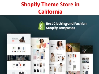 Shopify Theme Store in California