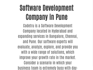 Software Development Company in Pune