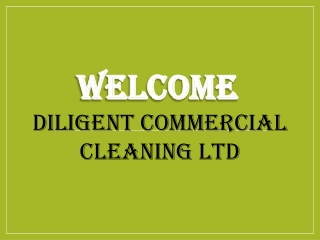 Best Service For gutter cleaner in Rayleigh