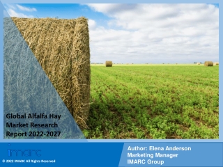 Alfalfa Hay Market PDF, Size, Share | Industry Trends Report 2022-2027
