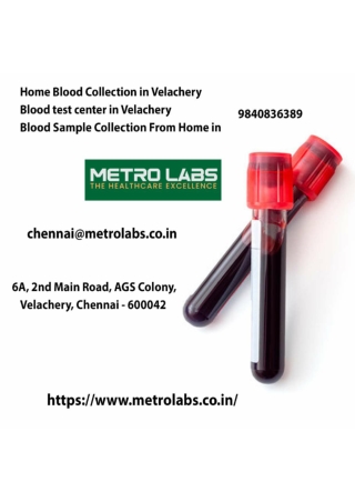 Blood Sample Collection From Home in Velachery (2)