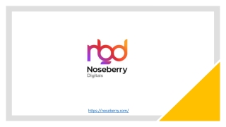 Digital Marketing Company In Noida - Noseberry Digitals
