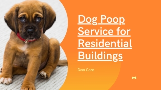 Dog Poop Service for Residential Buildings Chicago – Doo Care