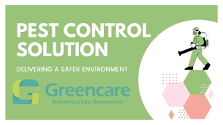 Get The Best Pest Control Service In Singapore