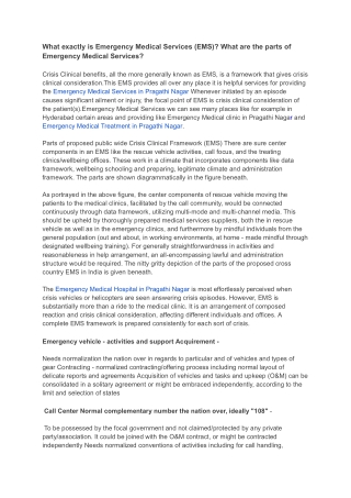 Namasvi (Emergency Medical Services ) - Google Docs