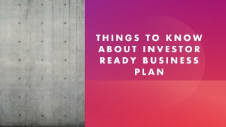 Investor Ready Business Plan - Mikel Consulting