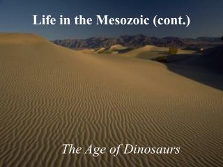 Life in the Mesozoic (cont.)