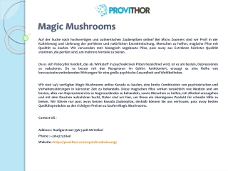 Magic Mushrooms