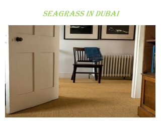 Seagrass in Dubai