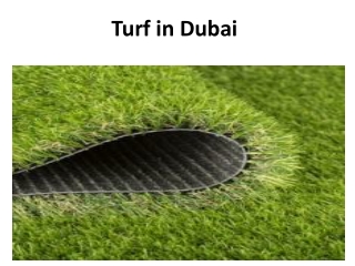 Turf in Dubai