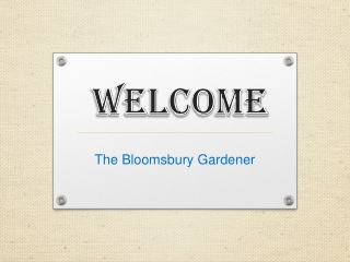 Top Service for Garden Maintenance in Holborn
