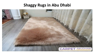 Shaggy Rugs in Abu Dhabi