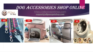 Dog Accessories Shop Online
