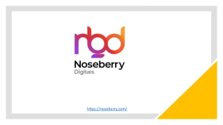Mobile App Development Services - Noseberry Digitals