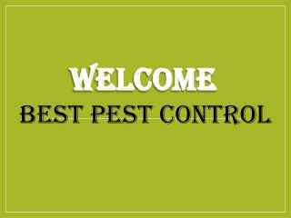 Best Vermin Control in Lawrence Weston