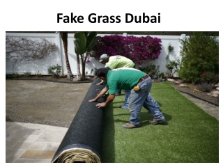 Fake Grass Dubai
