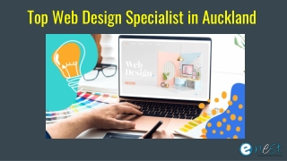 Top Web Design Specialist in Auckland