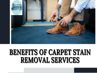 Benefits of carpet stain removal services