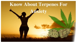 Know About Terpenes For Anxiety