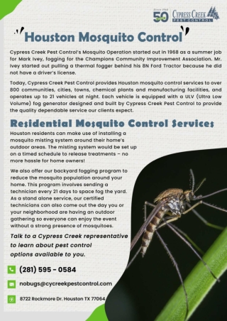 Termite Inspection Houston | Houston Spider Control