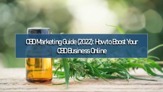 CBD Marketing Guide 2022 How to Boost Your CBD Business Online