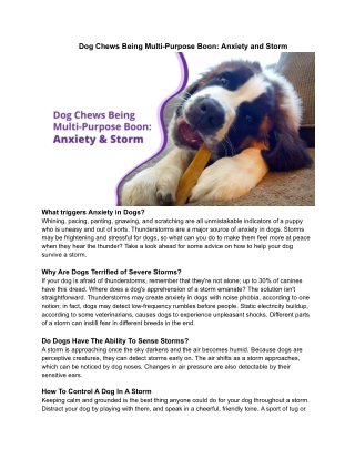 Dog Chews Being Multi-Purpose Boon: Anxiety and Storm