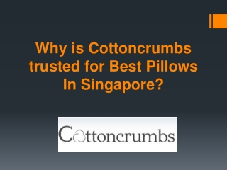 Best Pillows In Singapore