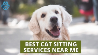 Best Cat Sitting Services near me