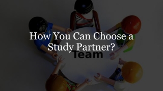 How You Can Choose a Study Partner?