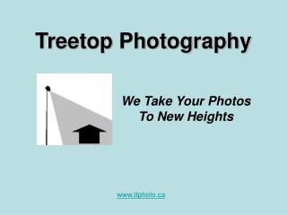 Treetop Photography